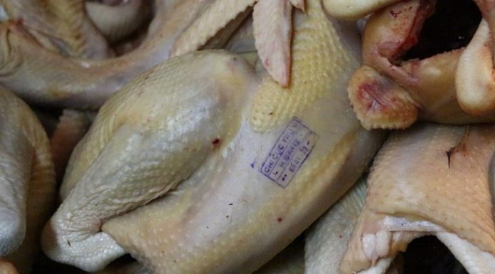 How to Spot Chicken Injected with Chemicals