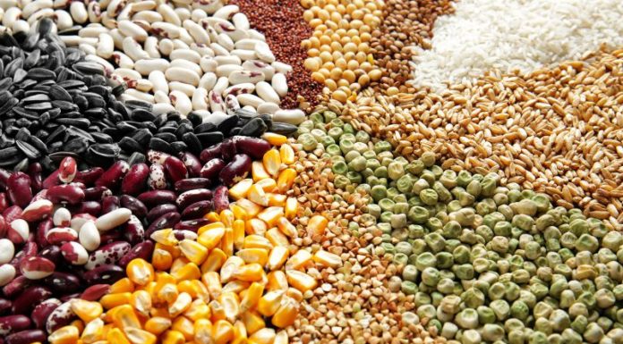 “The Ultimate Guide to Achieving a Flawless, Brighter Complexion with Cereal Grains”