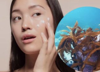 What is Laminaria Cloustoni Extract in Cosmetics? Benefits Explained.