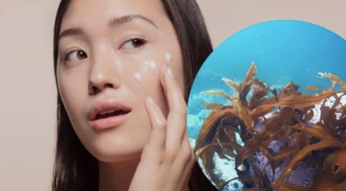 What is Laminaria Cloustoni Extract in Cosmetics? Benefits Explained.