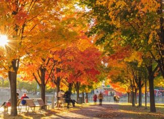 What is Autumnal Equinox? When is the Autumnal Equinox 2022?