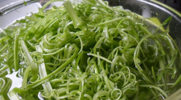 A Tasty Treat: Chicken Hot Pot with a Twist of Ginger Leaves