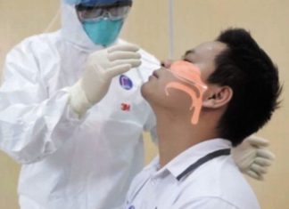 The Ultimate Guide to Pain-Free and Precise COVID-19 Rapid Testing