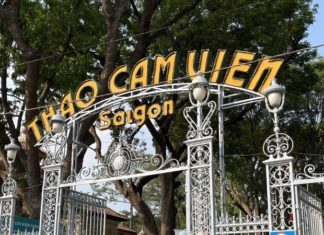 A Day at Saigon Zoo: Celebrating the Giraffe’s First Birthday and Indulging in a Culinary Journey Across Vietnam