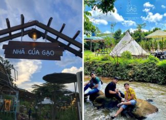 The Serene Search: Finding a Healing Cafe in Bao Loc