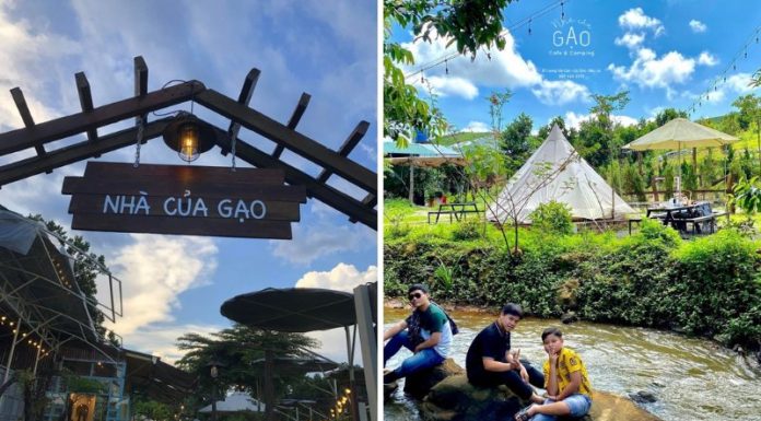 The Serene Search: Finding a Healing Cafe in Bao Loc