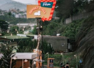 Ascending to Bao Loc, Halt at the Cafe on Wind Hill to Immerse in Nature’s Splendor
