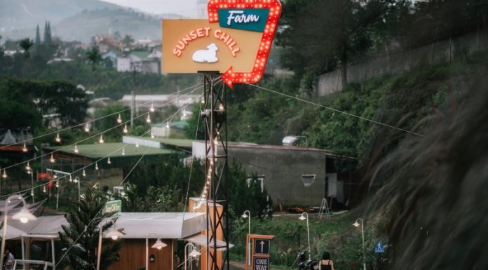 Ascending to Bao Loc, Halt at the Cafe on Wind Hill to Immerse in Nature’s Splendor