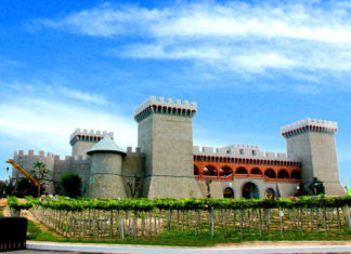 The Top 5 Phan Thiet Travel Destinations for a Memorable Tet Holiday in 2024