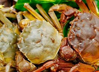The Elusive Northern Crab: A Culinary Delights of Bac Giang
