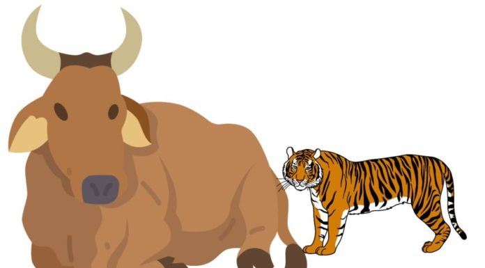 Why Are Carnivorous Land Animals Usually Smaller Than Herbivores?