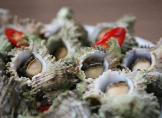 The Unique and Delicious Snail Delicacy of Phu Quoc Island, Vietnam: A Tasty Treat Starting at VND 270,000 per kg.