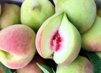 3 Types of Fruits Laden with Chemicals that Flood the Summer Markets, Number 2 will Surprise You!