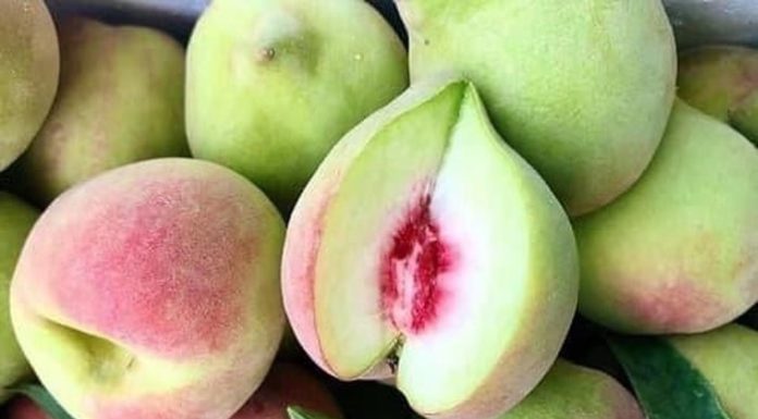 3 Types of Fruits Laden with Chemicals that Flood the Summer Markets, Number 2 will Surprise You!