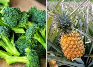 5 Types of Fruits and Vegetables You Should Never Juice: A Waste of Nutrition and a Health Hazard