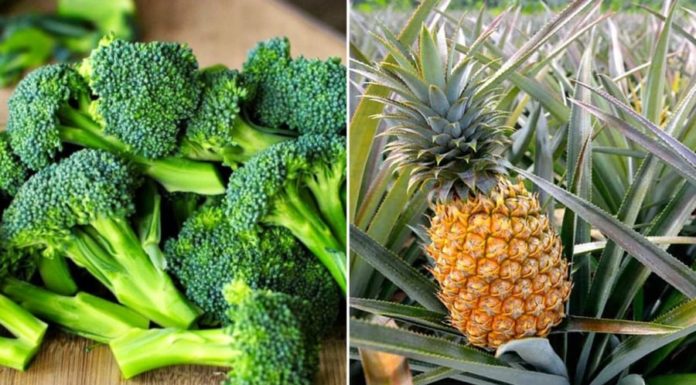 5 Types of Fruits and Vegetables You Should Never Juice: A Waste of Nutrition and a Health Hazard