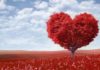A Heartwarming Valentine’s Day Message for Your Sweetheart