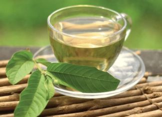 The Miraculous Benefits of Guava Leaves and How to Brew a Potent Guava Leaf Tea