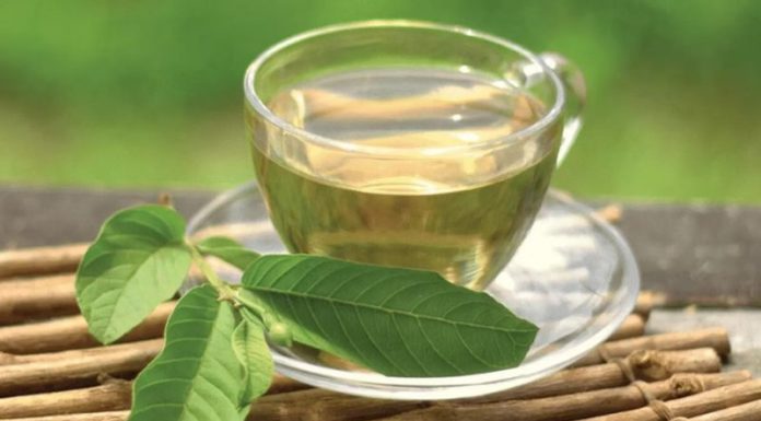 The Miraculous Benefits of Guava Leaves and How to Brew a Potent Guava Leaf Tea