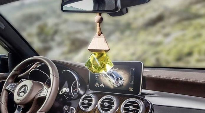 The Magic of Essential Oils in Your Car: 6 Scents to Transform Your Driving Experience