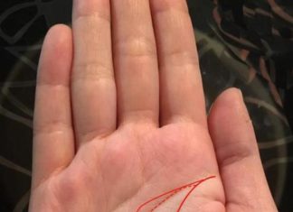 The Golden Palm: Unlocking the Secrets to a Lifetime of Wealth and Prosperity