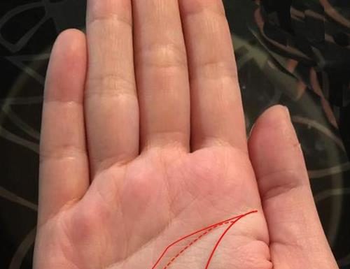 The Golden Palm: Unlocking the Secrets to a Lifetime of Wealth and Prosperity