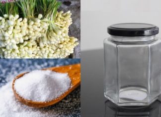 The Ultimate Guide to Weight Loss: Shed 10kg with This Amazing Method