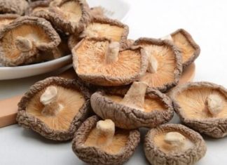 The Ultimate Guide to Dried Shiitake Mushrooms: 6 Tips to Impress Even the Mushroom Sellers