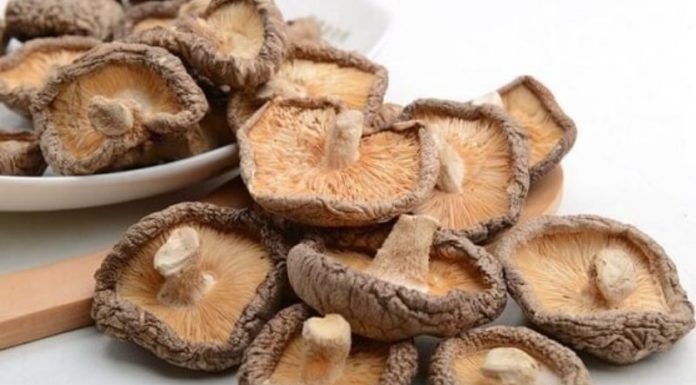 The Ultimate Guide to Dried Shiitake Mushrooms: 6 Tips to Impress Even the Mushroom Sellers