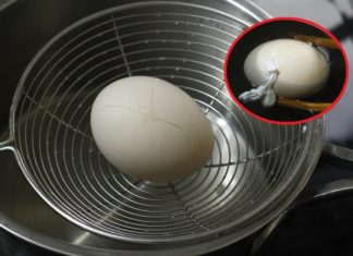 Why Do Hard-Boiled Eggs Crack and Leak?