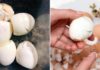 “The Great Egg Debate: Mastering the Perfect Peel with a Simple Hack”
