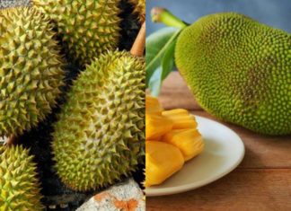 The Top 5 Fruits You Should Never Offer at Your Ancestral Altar