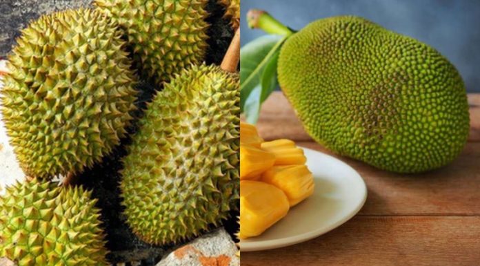 The Top 5 Fruits You Should Never Offer at Your Ancestral Altar