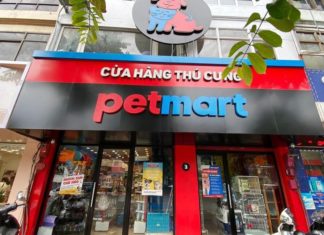 The Ultimate Pet-Sitting Services: 9 Trusted Options for Tet 2024