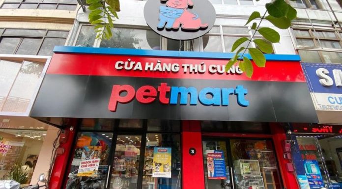 The Ultimate Pet-Sitting Services: 9 Trusted Options for Tet 2024