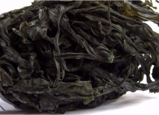 The Ultimate Guide to Choosing the Best Dried Seaweed: A Tasty and Healthy Treat
