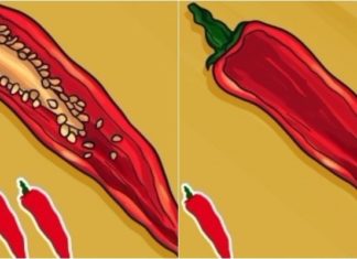 The Chef’s Secret Tips: A Guide to Culinary Success