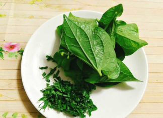 The Ultimate Guide to Relieving Back Pain with All-Natural Leaf Remedies