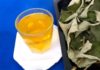 The Ultimate Guide to Brewing a Refreshing Lotus Leaf Drink to Beat the Summer Heat