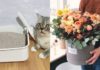The Ultimate Guide to Drying Flowers with Kitty Litter: A Little-Known Trick