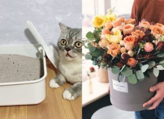 The Ultimate Guide to Drying Flowers with Kitty Litter: A Little-Known Trick