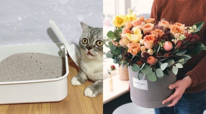 The Ultimate Guide to Drying Flowers with Kitty Litter: A Little-Known Trick