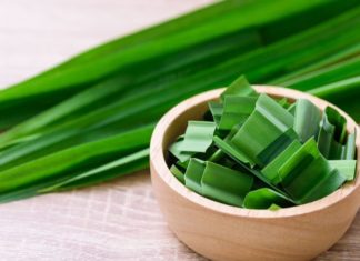 The Secret to Glowing Skin and Silky Hair: A Pineapple Leaf Guide