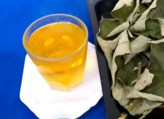 The Ultimate Guide to Brewing a Refreshing Lotus Leaf Drink to Beat the Summer Heat