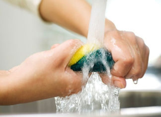 “Don’t Forget This Crucial Step When Doing the Dishes: Your Year-Round Health Depends on It”