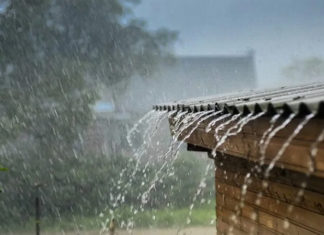 The Magic of Rainwater: A Guide to Harvesting Nature’s Gift for a Cleaner, Safer Home