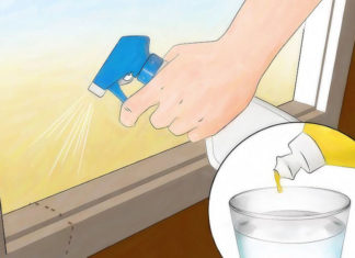 The Ultimate Guide to a Powerful Yet Safe Ant-Killer