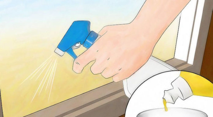 The Ultimate Guide to a Powerful Yet Safe Ant-Killer