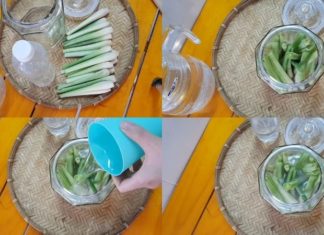 The Secret to Unlocking the Power of Lemongrass: A Comprehensive Guide to Making and Using Your Own Essential Oil.