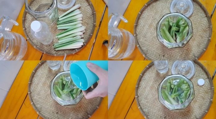 The Secret to Unlocking the Power of Lemongrass: A Comprehensive Guide to Making and Using Your Own Essential Oil.